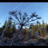 20150106_050